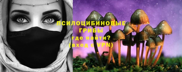 кокс Алексеевка